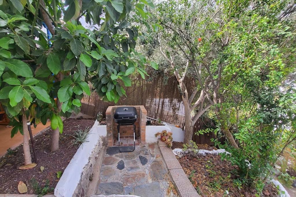 Vila Casa Mimosa With Private Pool & Garden Agaete  Exteriér fotografie